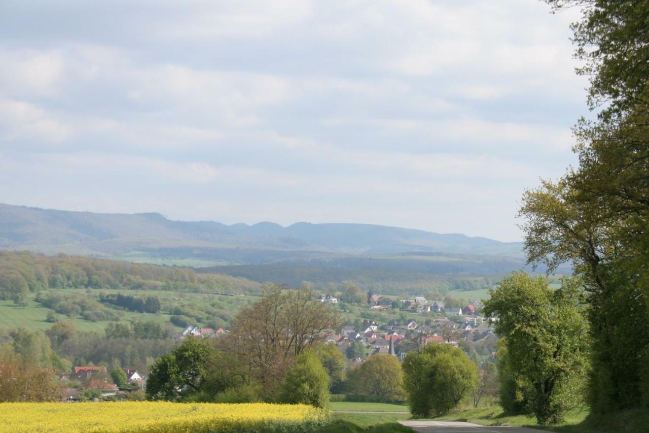 Gites Du Tilleul Gumbrechtshoffen エクステリア 写真